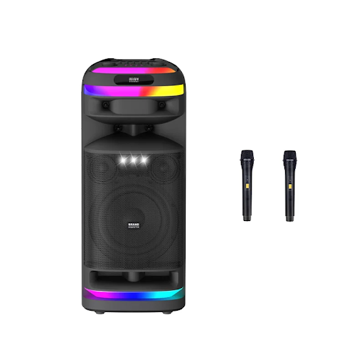 اسپیکر قابل حمل BTS2250