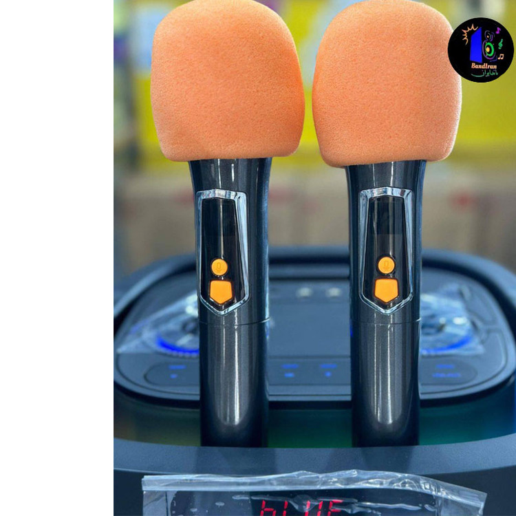 اسپیکر قابل حمل BTS2250
