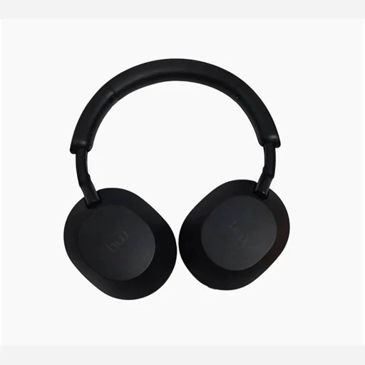 هدفون بلوتوثی bw مدلBW-HF9